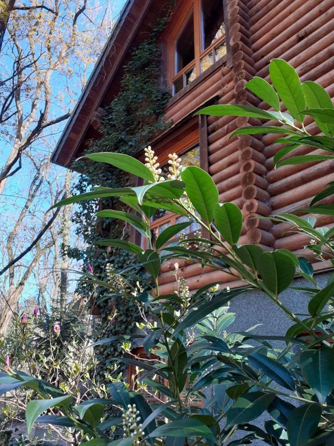 Holzhaus Am See Zernsdorf Ngoại thất bức ảnh